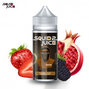 Master 100ml Squid Juice 2